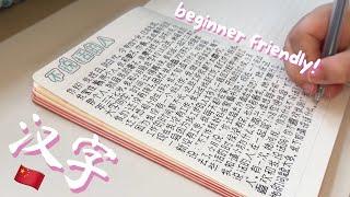 ways i learn hanzi as a beginner in chinese 