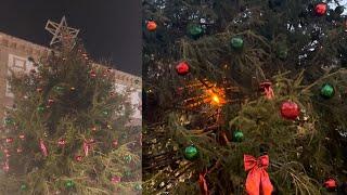 Sciacca, scintille sull’albero di Natale che resta al buio