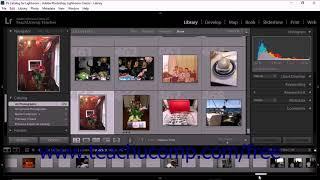 Lightroom Classic CC Tutorial Using the Filmstrip Adobe Training