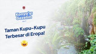 Konya'yı Gezelim Eps.2 - Tropikal Kelebek Bahçesi