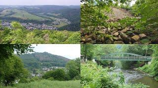 Fotoimpressionen - Rund um das "Roßbacher Häubchen", weiter bis Arnsau und zurück entlang der Wied