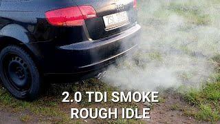 2.0 TDI smoke, rough idle, egr - solved