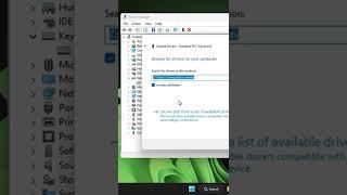 Esc Key not Working on Windows 11 [Fix]