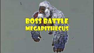 megapithecus 