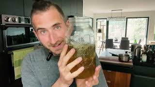 Beginners Guide to Making Jun - The Champagne of Kombucha