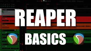 REAPER Basics - The Complete Beginner Tutorial