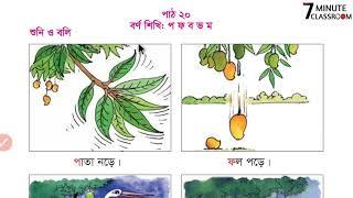 Class 1 Bangla | বর্ণ শিখি: প, ফ, ব,ভ,ম | পাঠ ২০ | বাংলা | 7 Minute  Classroom BD