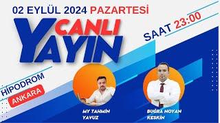 03 EYLÜL 2024 SALI ANKARA AT YARIŞI TAHMİNLERİ VE YORUMLARI