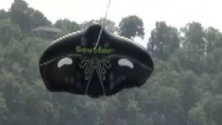 Extreme Manta Ray Flying Tube