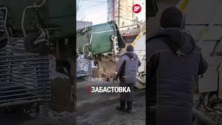 Казанские мусорщики объявили забастовку; щенков замуровали в подвале Казанского дома - #ТопДня