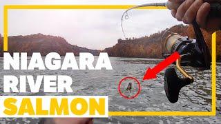 NIAGARA WHIRLPOOL SALMON FISHING