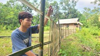 Cut bamboo to build a fence around the garden. My daily life | Bình - Building new life