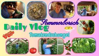 Daily Vlog / Ab in den Tomatendschungel / Sommerborsch / Haushalt und Garten / Mamaalltag