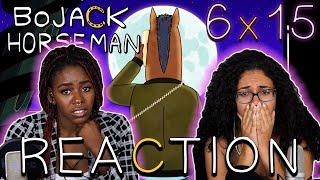 BoJack Horseman 6x15 - "The View from Halfway Down" REACTION!!