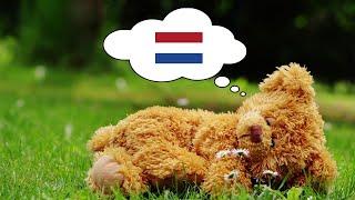 Learn Dutch While You Sleep - 1000 Important Dutch Words & Phrases