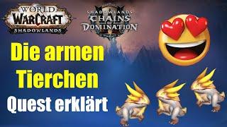 Die armen Tierchen Quest erklärt | WoW 9.1 Korthia