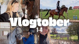 NEUES FORMAT: VLOGTOBER - 4 Tage mit mir (und den Pferden)  | Vlogtober 1-4