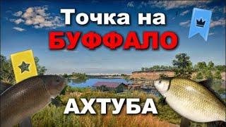 БУФФАЛО НА АХТУБЕ!! РР4