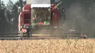 Winter wheat harvesting: PALESSE GS12 and straw baling - from field to haystack!