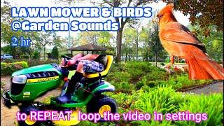 Lawn Mower & Birds Sounds ASMR @Garden 2 hrs to Repeat Loop the Video For Sleep StudyBetter Quality