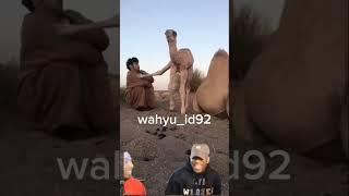 video meme lucu|| Unta jahil #viral #shorts #short #shortsfeed #video #funny #subscribe #shortvideo