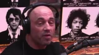 Joe Rogan Breaks Down Ronda Rousey Getting KO'd By Amanda Nunes - UFC 207