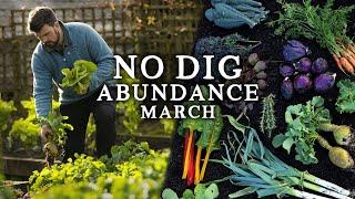 Precious No Dig Harvests in March As Seed Sowing Commences