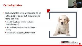 Puppy Nutrition Webinar: Key Nutrients That Support Development