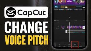 How to Change Your Voice Pitch in CapCut App (2024)