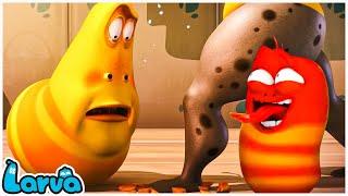 LARVA SEASON 2 EPISODE 127 - CARTOONS NEW VERSION - SMTOON ASIA