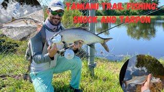 Fishing the Tamiami Trail in Southeast Florida