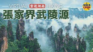 4K Virtual Walk in Zhangjiajie Wulingyuan Scenic Area - Hunan, China