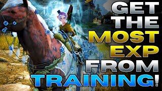 BDO Horse Training Guide: How to Level Up Your Horses Fast and Easy!