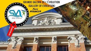 #GRANDE GALERIE DE L’ÉVOLUTION (GALLERY OF EVOLUTION)#2020.01.12