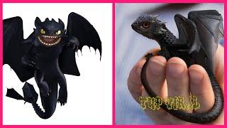 How To Train Your Dragon 3 In Real Life  All Characters @TupViral