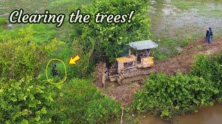 Best Dozer's Driver I Ever Saw: Great Skills in Pushing & Clearing Trees Using Komatsu Dozer D30