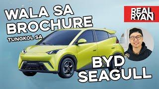 10 THINGS YOU PROBABLY DON'T KNOW ABOUT BYD SEAGULL PHILIPPINES