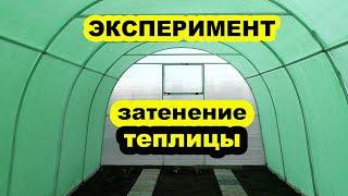 Затенение теплицы от жары. Жёсткий эксперимент. Спасаем растения. Как закрыть теплицу от солнца