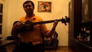 Aleksandr Sahakyan, Armenian tar, classic mugham "Shur".