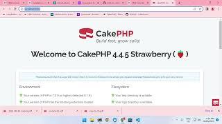 CakePHP 4 - Spatie/Browsershot PDF Creation with Token Authentication