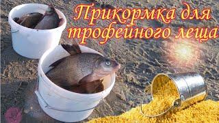 Прикормка на Трофейного Леща и крупную белую рыбу!!! Рассыпчатая каша для РЫБАЛКИ.
