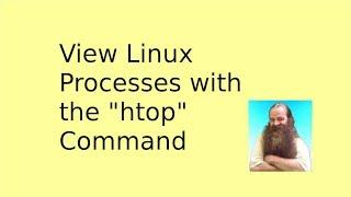 View Linux Processes with htop