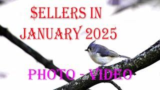 Do You know how bad is my #microstock agencies sales in January 2025 ?#stockphotography #sidemoney