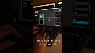 create a free flutter UI  using website #teta #flutter #programming
