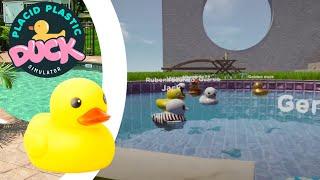 ADORO VIVIR!!!-placid plastic duck simulator #01