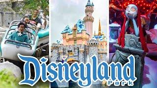 Disneyland Rides - 2024 POVs | 4K 60FPS