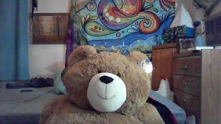 tilra big bear *not my room*