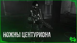 The Division 2  | Экзотика "Ножны центуриона"