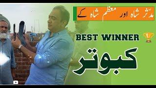 KOT ABDUL MALIK K WINNER KABOTAR | Vlogger Pigeons Star | shahzad qureshi