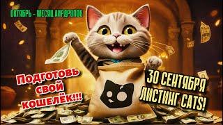 СКАМ HAMSTER KOMBAT. ЛИСТИНГ CATS И X-EMPIRE. И ДРУГИЕ ПЕРСПЕКТИВНЫЕ ИГРЫ ДЛЯ ЗАРАБОТКА В TELEGRAM.